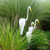 WhirlBird™ | Whimsical Spinning Garden Bird