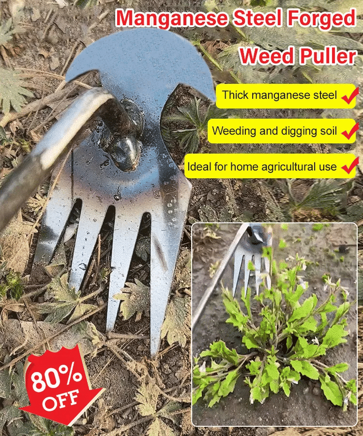 GrassGuard™ | The Ultimate Grass Removal Tool