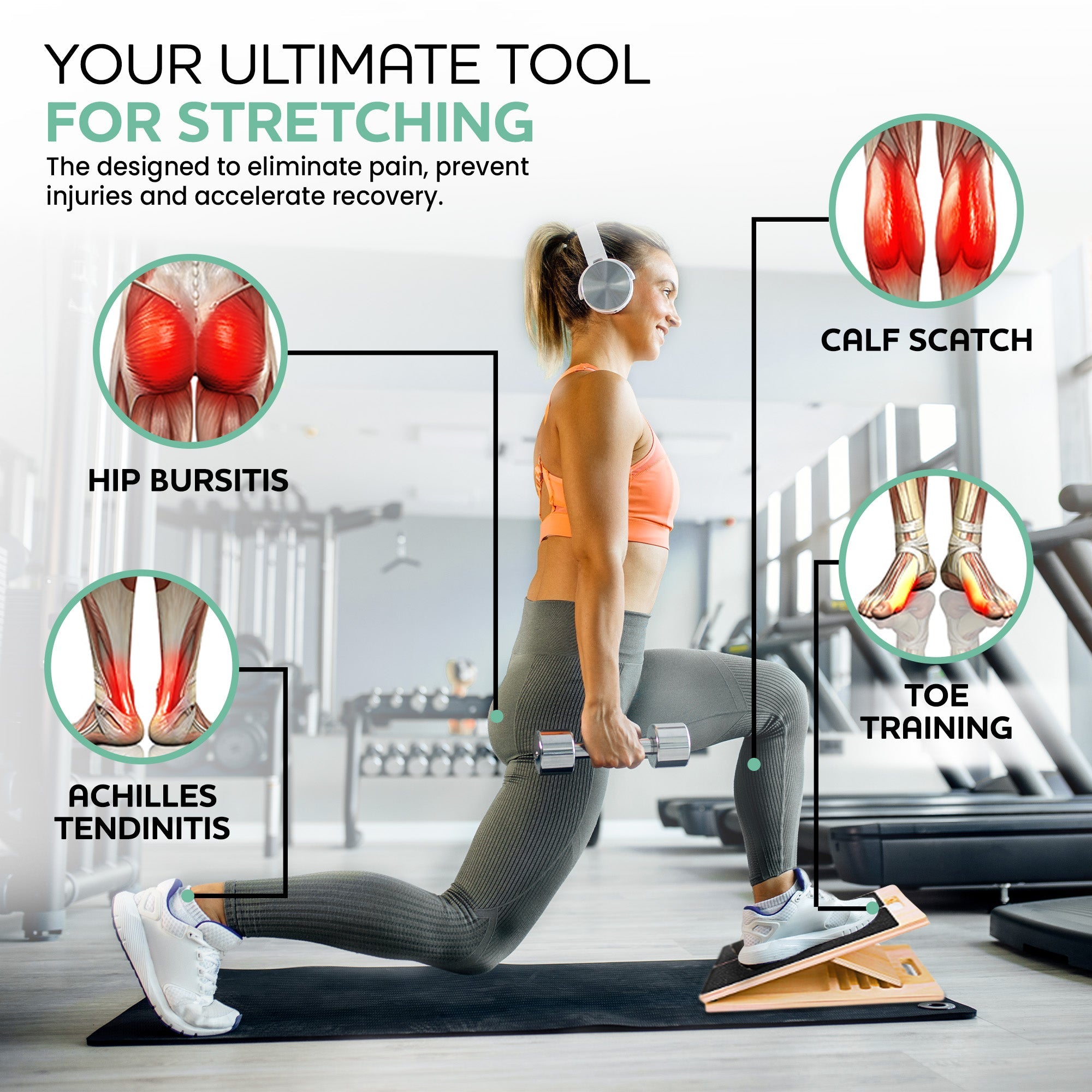 FlexBoard™ | Elevate Your Stretching Game