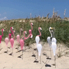 WhirlBird™ | Whimsical Spinning Garden Bird