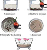 BloomLotus™ | Easy-To-Grow Lotus For A Touch Of Serenity