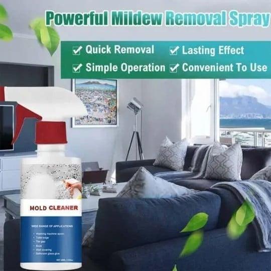 MoldAway™ | Natural Power Against Mold and Mildew