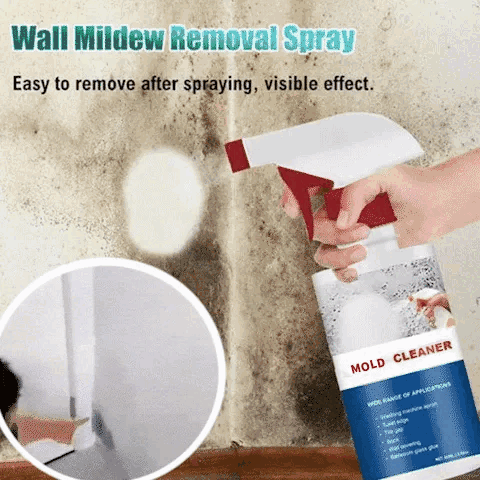 MoldShield™ | Remove Toxic Mold In Seconds