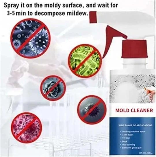 MoldAway™ | Natural Power Against Mold and Mildew