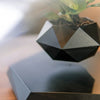 Floating Plant Pot Levitating Plant Pot for Succulents