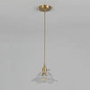 Industrial Flower Shape Glass Pendant Light in Gold