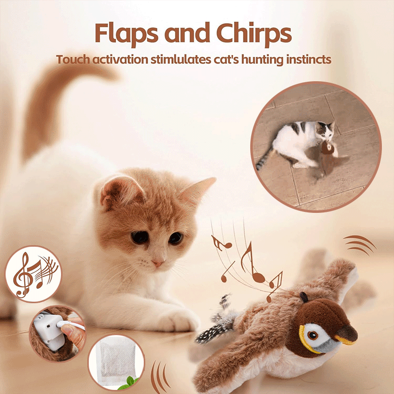 FeatherFrenzy™ | Realistic Bird Play for Happy Cats