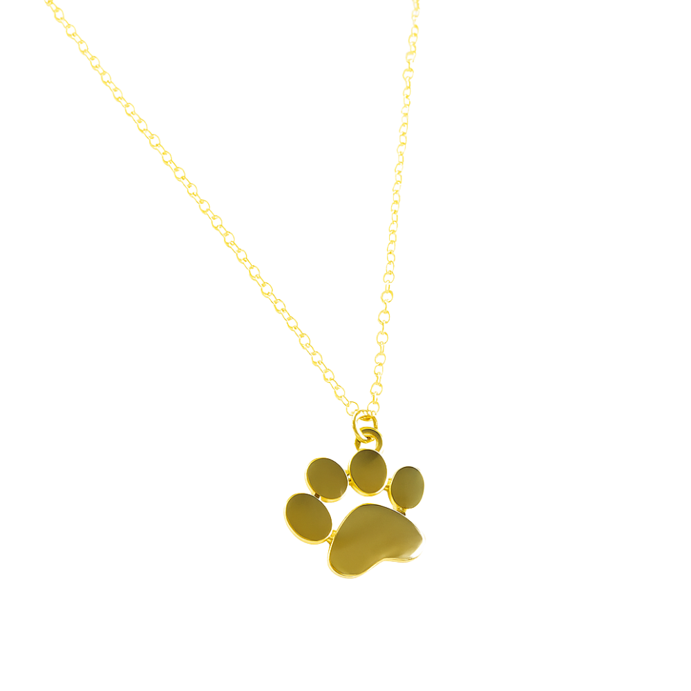 Auvina™ | Carry Your Pet’s Love In Gold And Silver