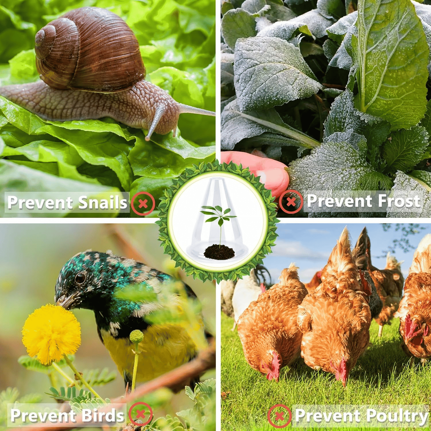 PlantShield™ | Your Plants’ Safe Haven