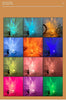 GlowTide™ | Transform Any Space into a Relaxing Escape