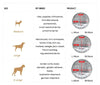 PawHaven™ | Where Pets Curl Up in Pure Comfort!