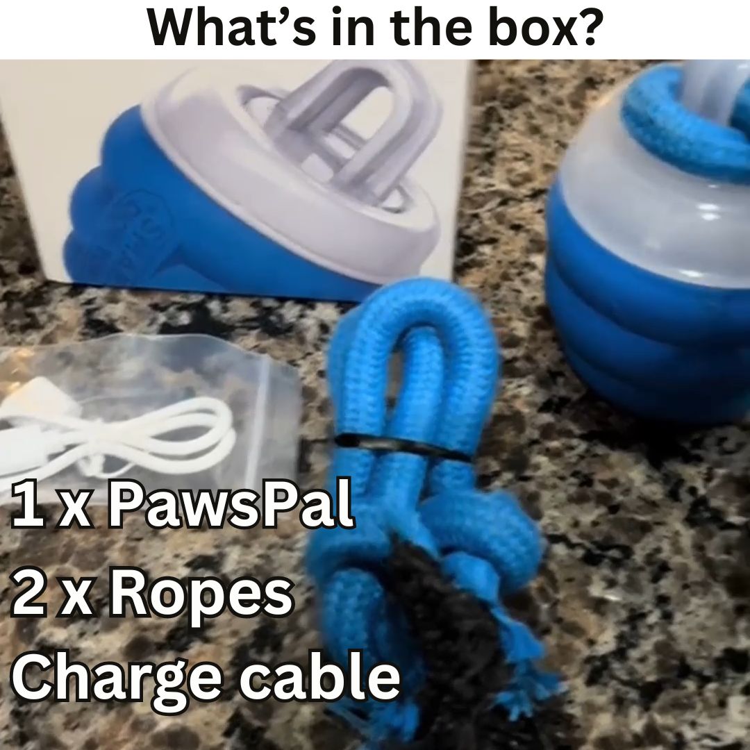 FurFrenzy™ | Keep Your Pup Chasing Happiness!