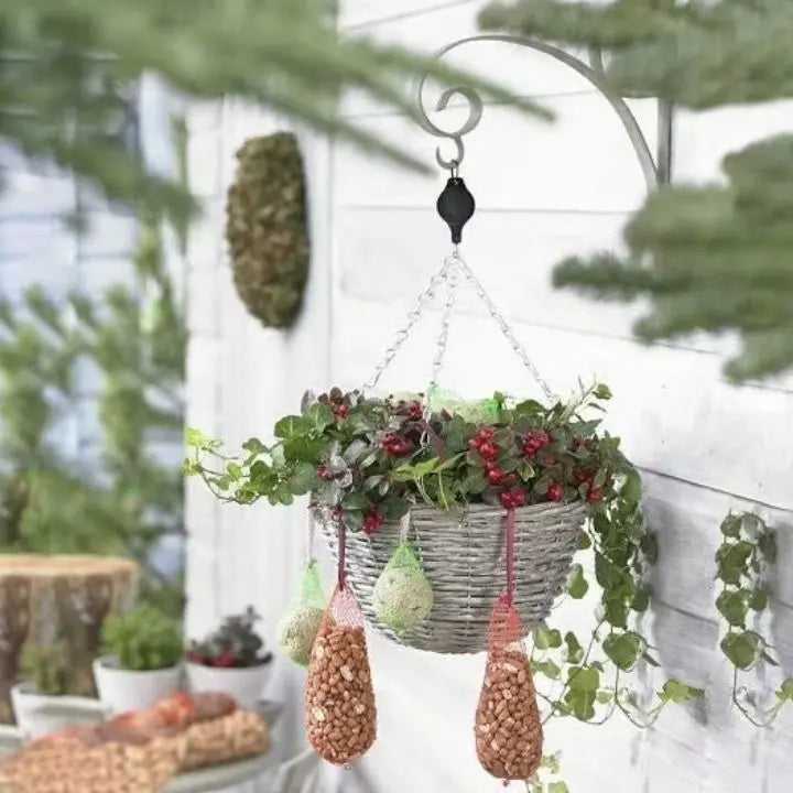 PlantGlide™ | Your Helping Hand For Healthy Hanging Plants