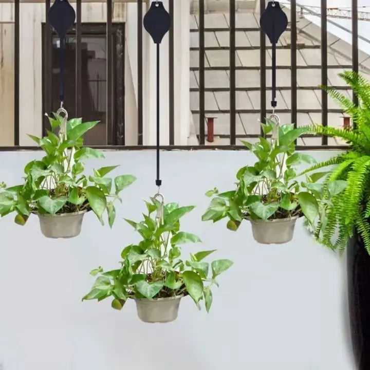 PlantGlide™ | Your Helping Hand For Healthy Hanging Plants