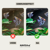 AquaGlow™ | Powerful Filtration for a Healthier Aquarium