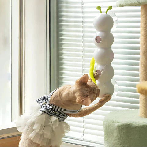 WiggleWorm™ | The Wall-Mounted Cat Toy That Brings Endless Fun