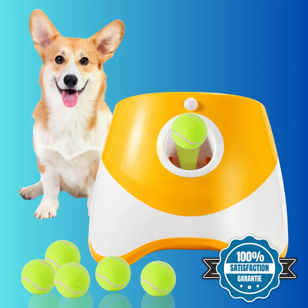 FetchMaster™ | Non-Stop Play for Your Four-Legged Friend