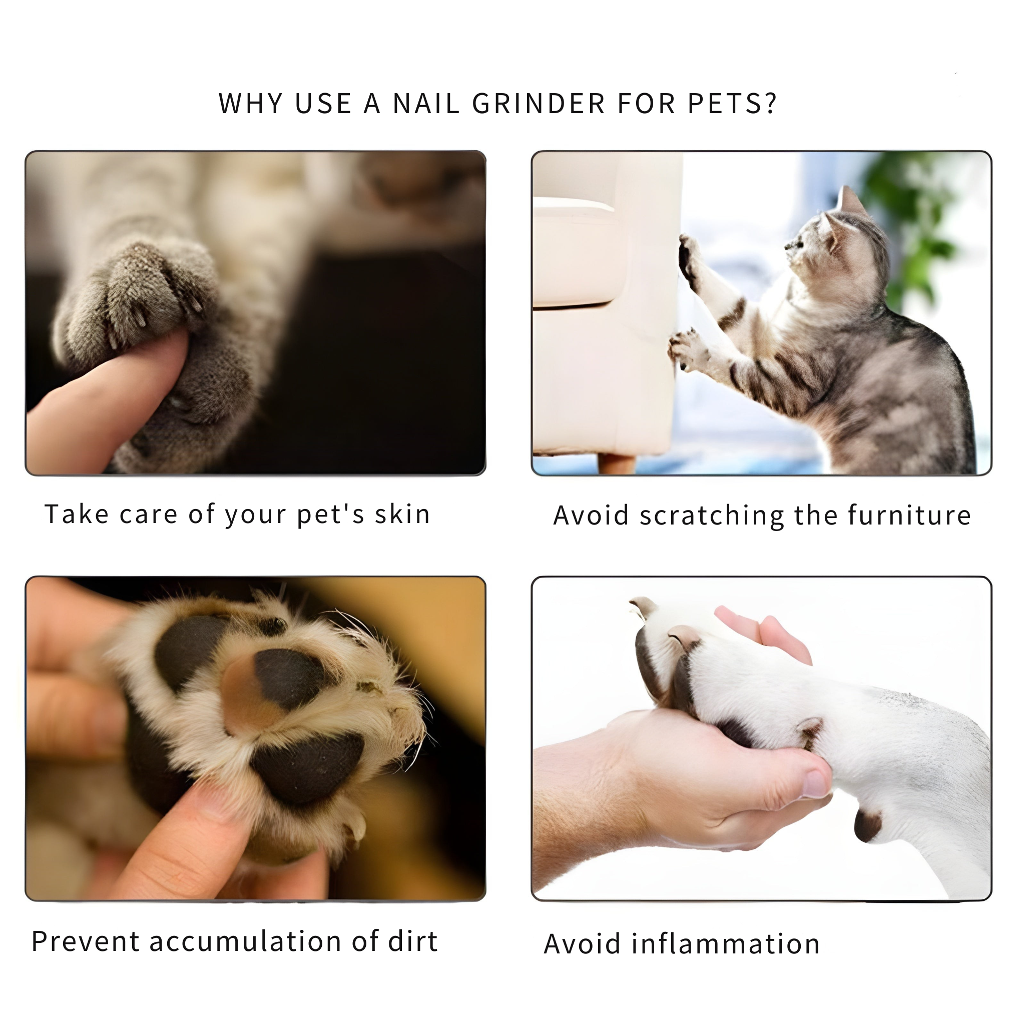 PediPurr™ | Stress-Free Nail Care for Happy Pets