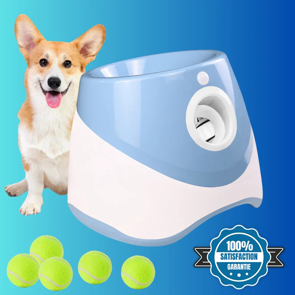 FetchMaster™ | Non-Stop Play for Your Four-Legged Friend