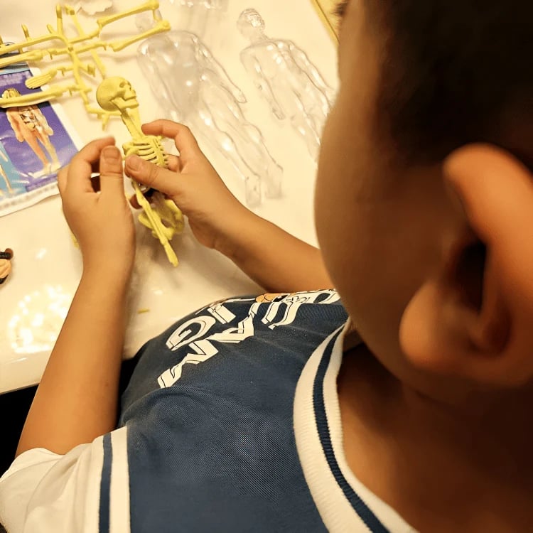 EduAnatomy™ | Bring the Human Body to Life – Study in 3D!