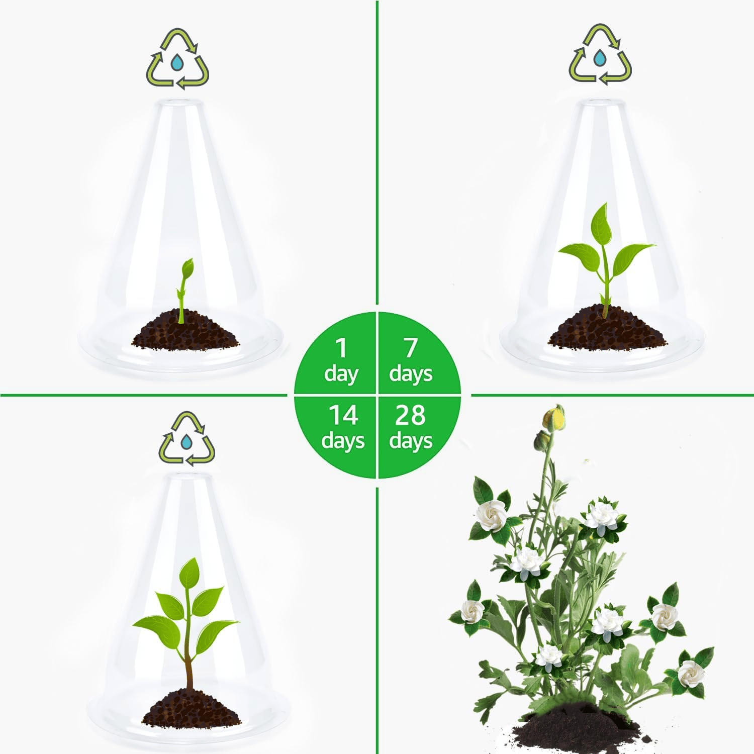 PlantShield™ | Your Plants’ Safe Haven