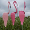 WhirlBird™ | Whimsical Spinning Garden Bird
