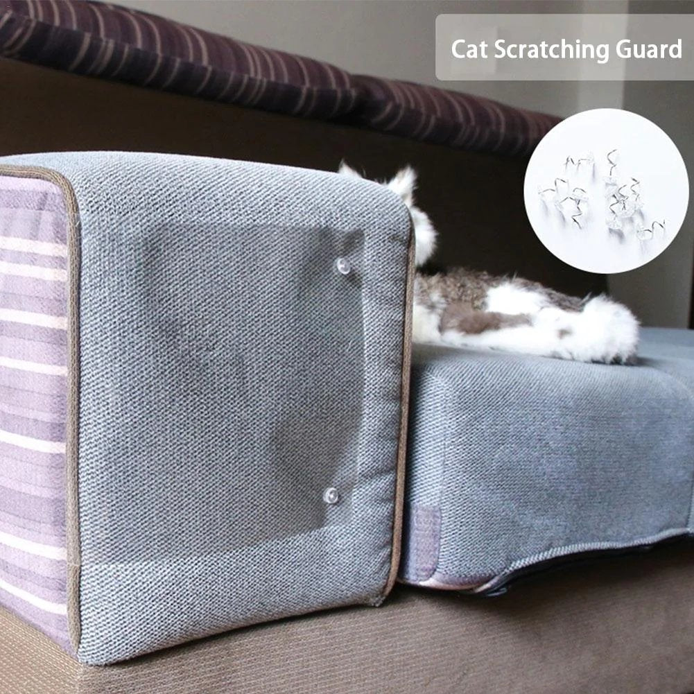 ScratchShield™ | The Clear Solution to Cat Scratching