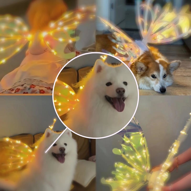 GlowFlutter™ | Magical Wings with a Radiant Glow for Every Occasion!