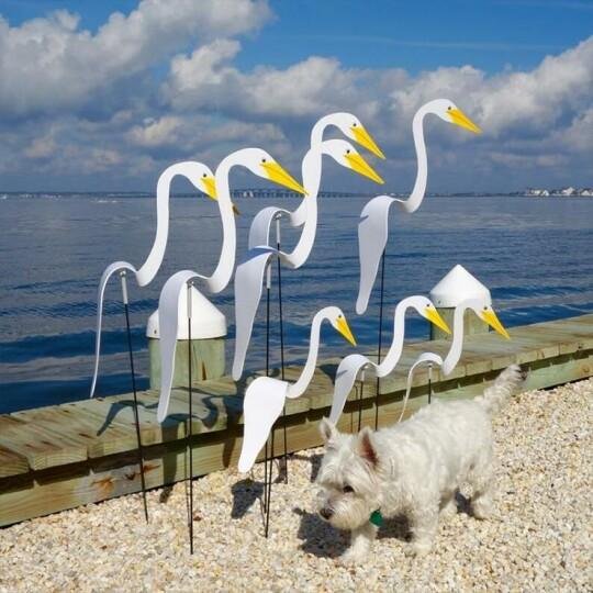 WhirlBird™ | Whimsical Spinning Garden Bird