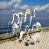 WhirlBird™ | Whimsical Spinning Garden Bird