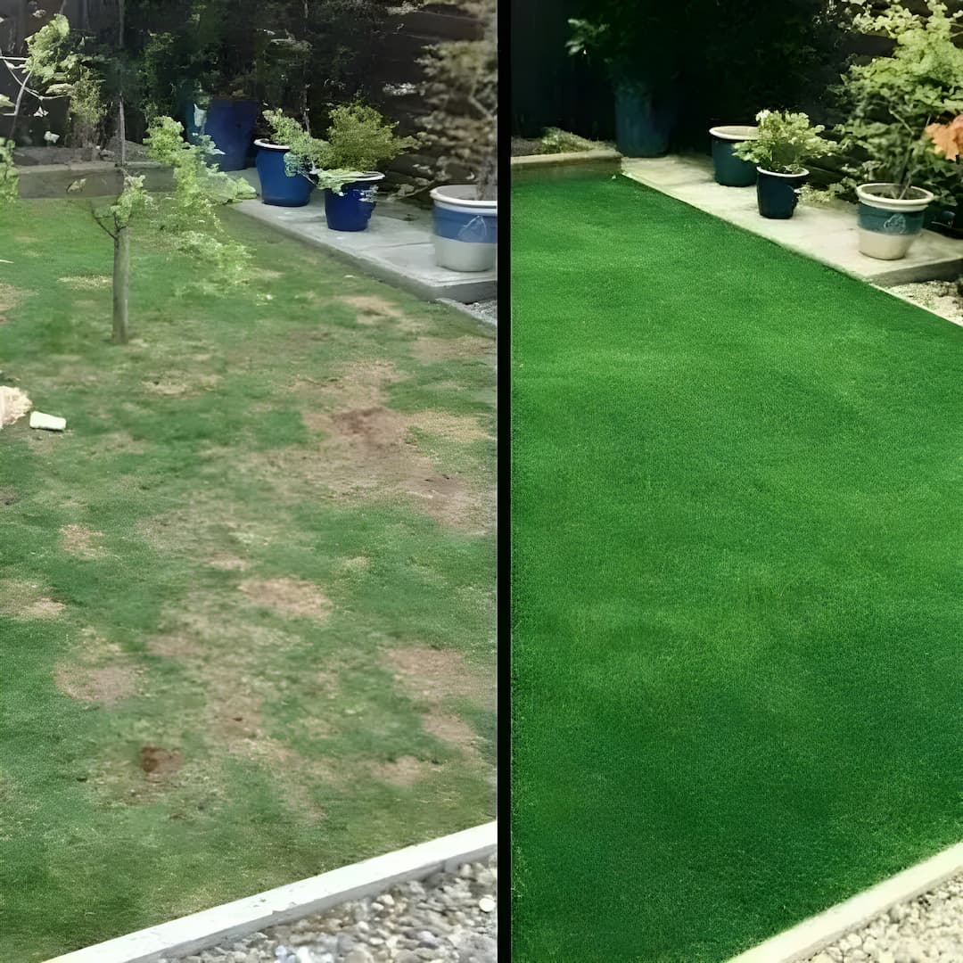 LawnEase™ | The Stress-Free Way To Grow A Thick Lawn