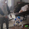 BrightBuddy™ | Your Child’s Smartest Learning Companion