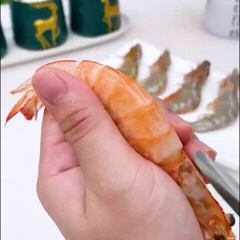 CatchCutter™ | Clean & Prep Seafood in Seconds!