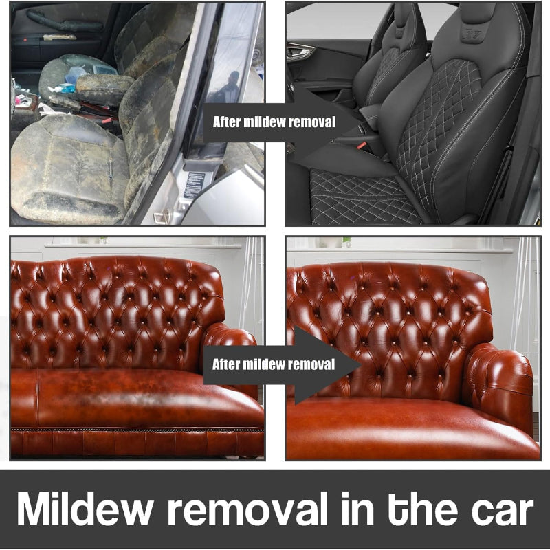 ClearRevive™ | Tough On Mold, Gentle On Your Interior!