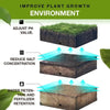 TreasureSprout™ | Soil Activated Treasure - Watch It Grow! 🌿