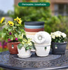 Round Ceramic Style Indoor Plant Pot with Tray