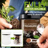 TreasureSprout™ | Soil Activated Treasure - Watch It Grow! 🌿