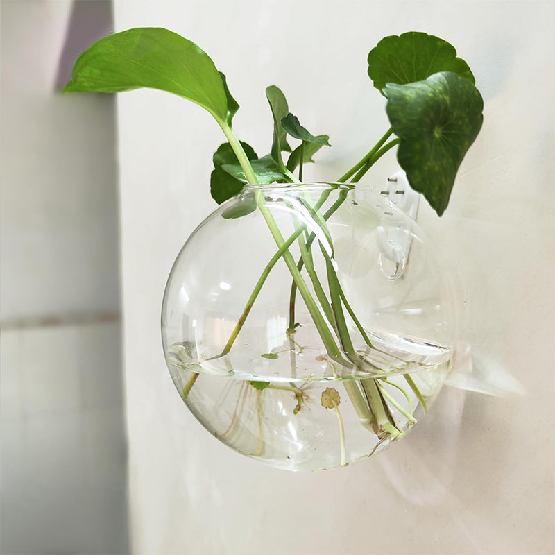 WallBloom™ | Green Up Your Walls—No Drills, No Damage!