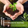 TreasureSprout™ | Soil Activated Treasure - Watch It Grow! 🌿