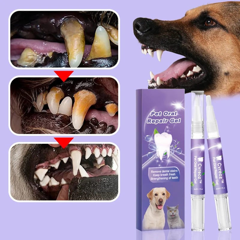 HappyChomp™ | Because Your Pet Deserves a Pain-Free Smile