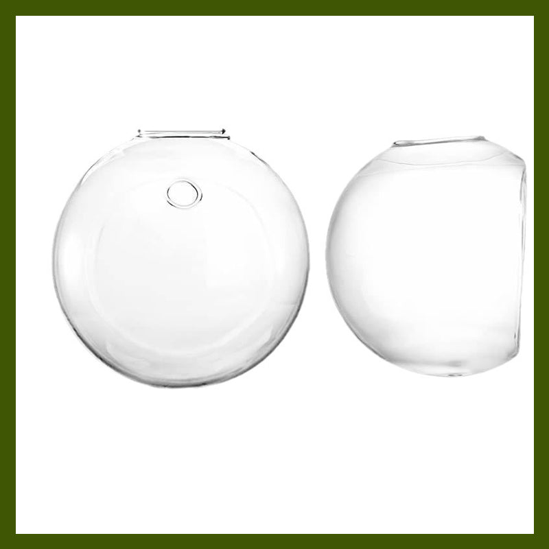 WallBloom™ | Green Up Your Walls—No Drills, No Damage!