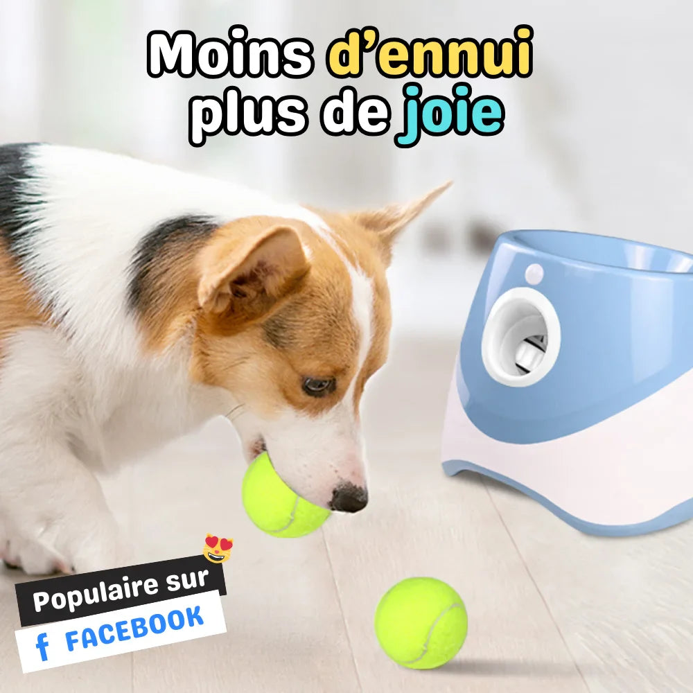 FetchMaster™ | Non-Stop Play for Your Four-Legged Friend