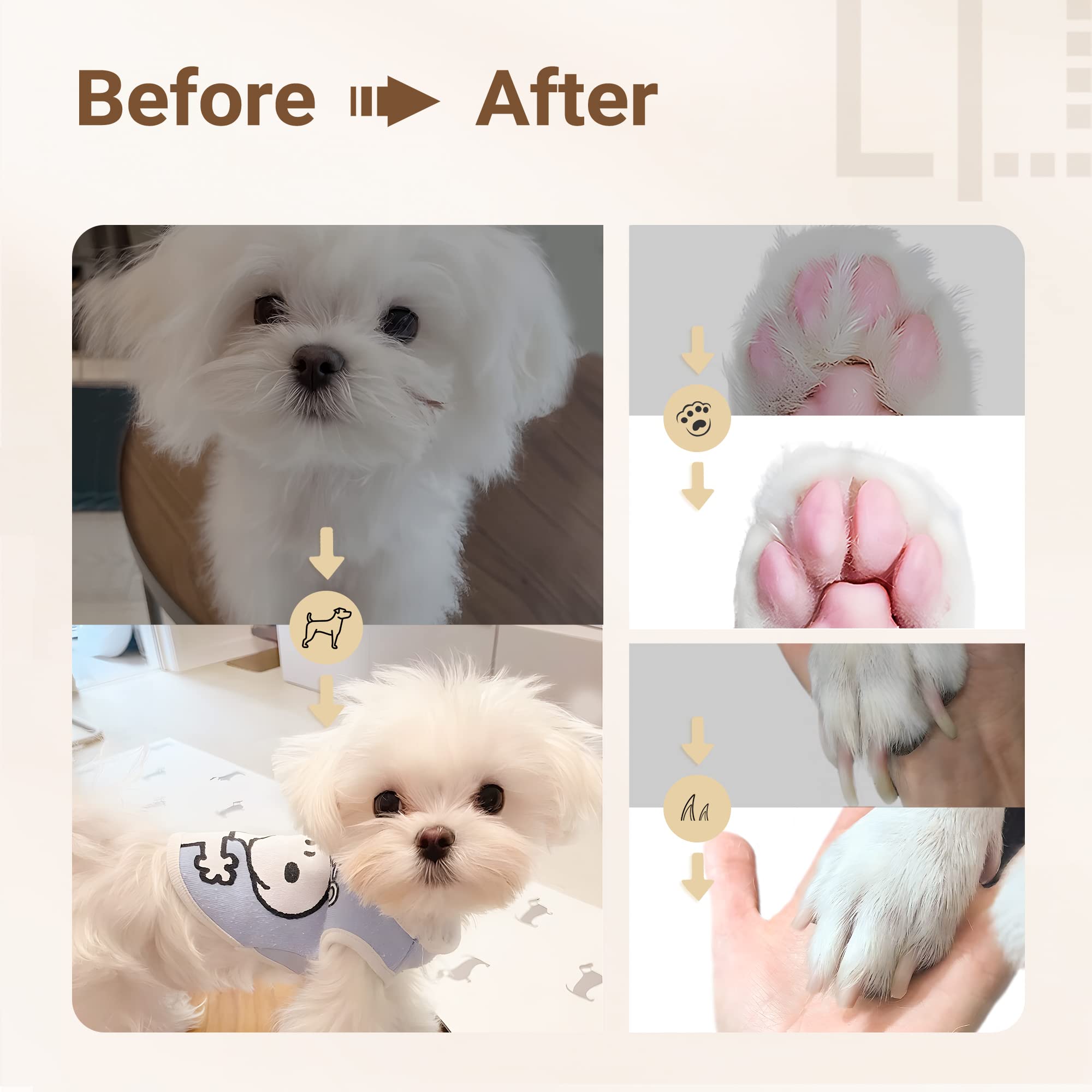 PawfectTrim™ | One Kit, Four Tools — Perfect Grooming Made Simple!
