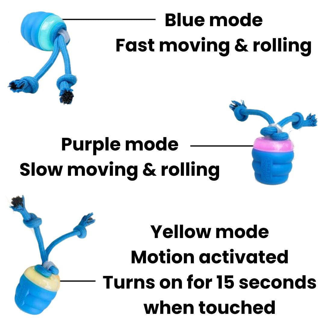 FurFrenzy™ | Keep Your Pup Chasing Happiness!