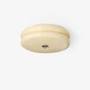 Art Deco Vintage Ceiling Light