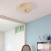 Art Deco Vintage Ceiling Light