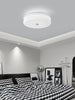 Art Deco Vintage Ceiling Light