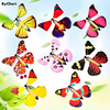 FlutterFly™ | Watch the Magic Take Flight!