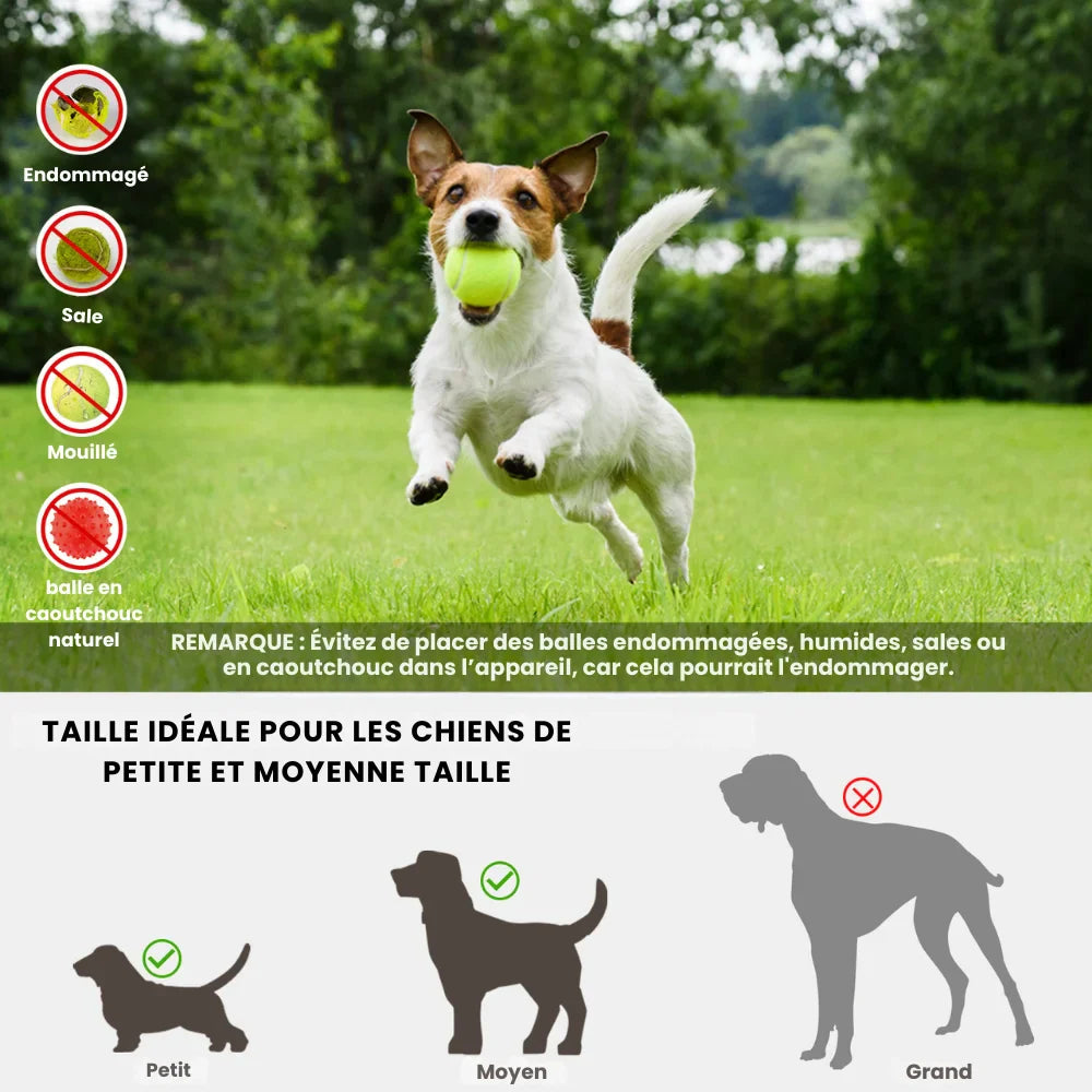 FetchMaster™ | Non-Stop Play for Your Four-Legged Friend