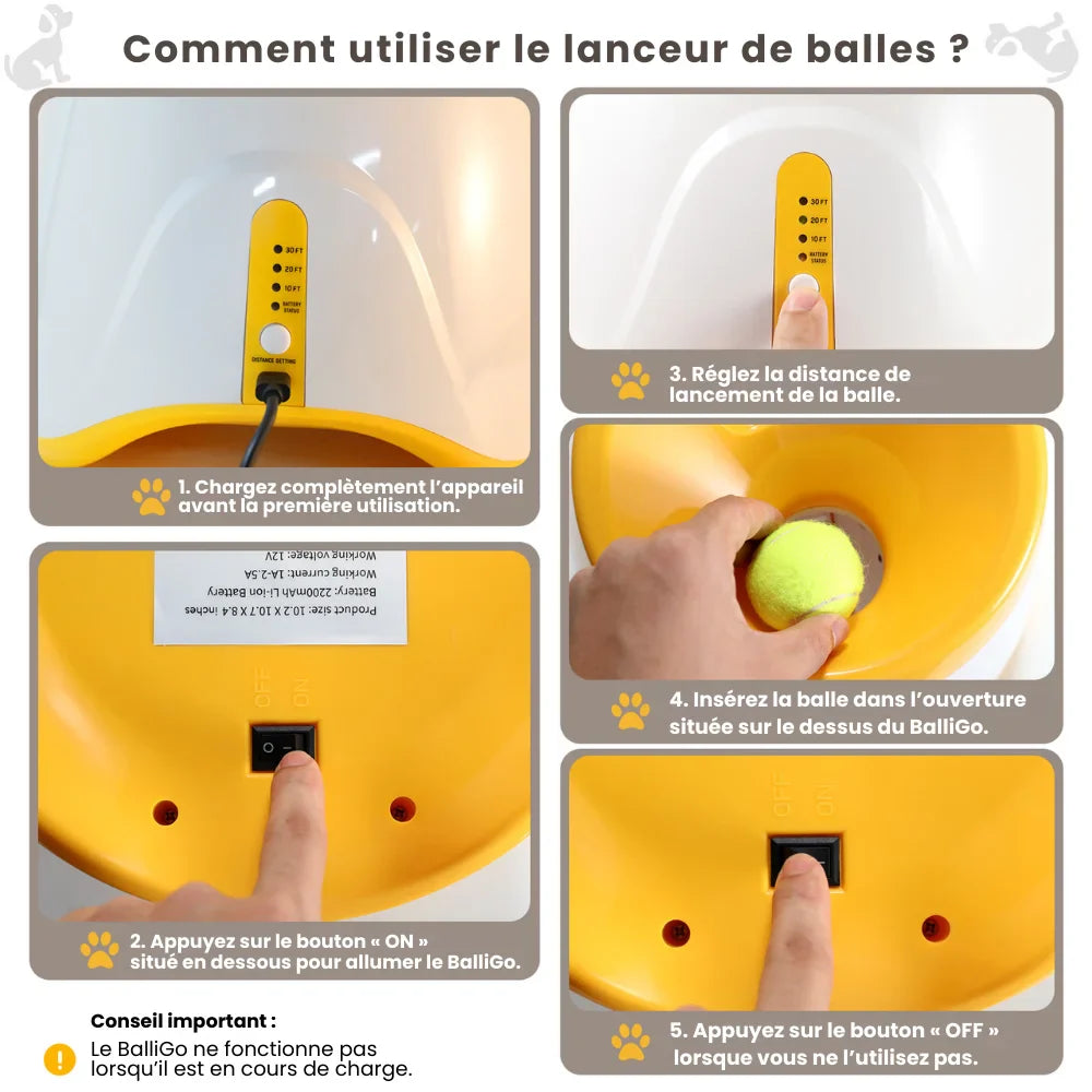 FetchMaster™ | Non-Stop Play for Your Four-Legged Friend